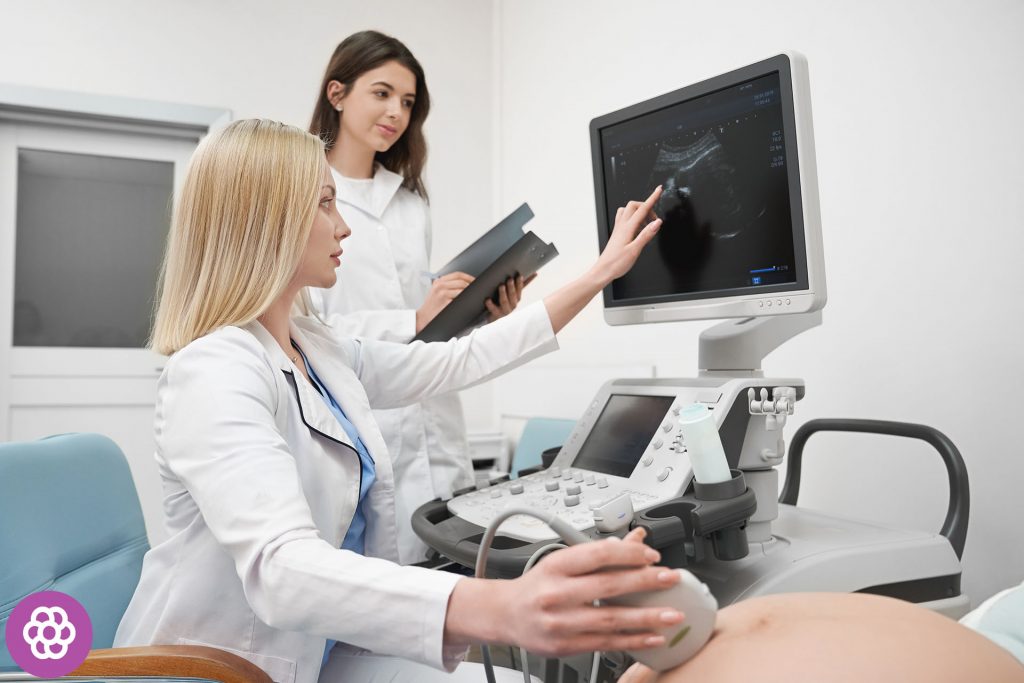 Kuinka nopeasti gynekologi havaitsee raskaudet?